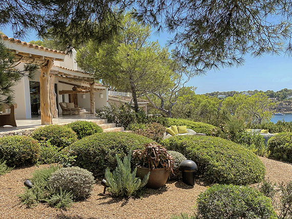 Es momento de plantar las especies mediterráneas